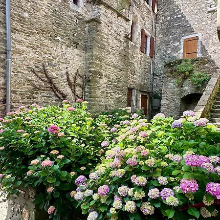 Monette's Refuge
